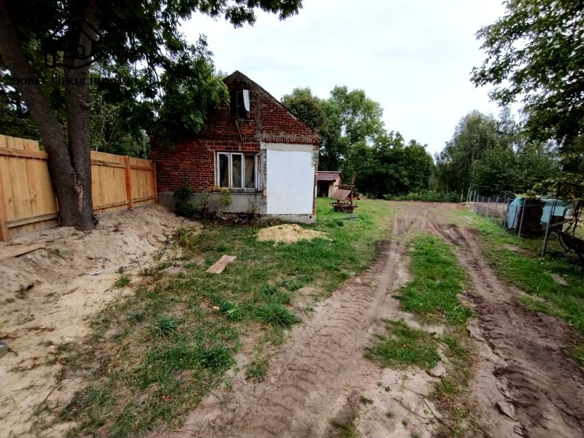 Zdjęcie 2