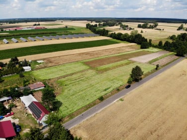 Działka Zdrzychów