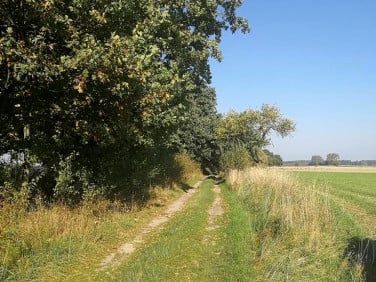 Działka rolna Ostrzyca