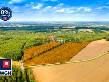 Działka inwestycyjna Dąbrowa