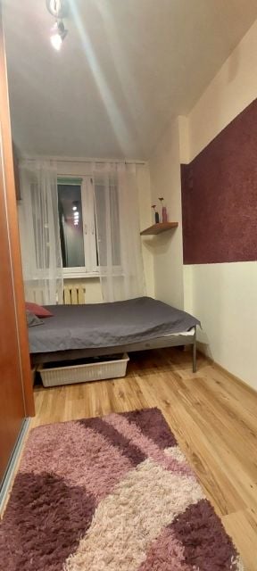 Zdjęcie 3