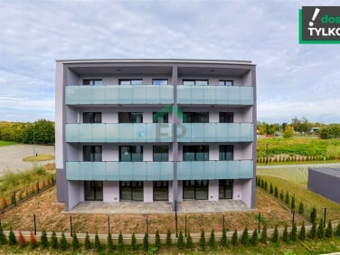 Mieszkanie Dąbrowa Górnicza