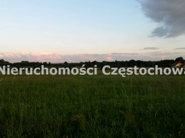 Działka budowlano-rolna Długi Kąt
