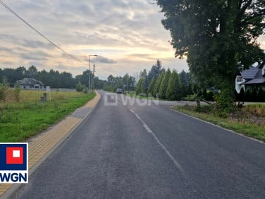 Działka Szprotawa