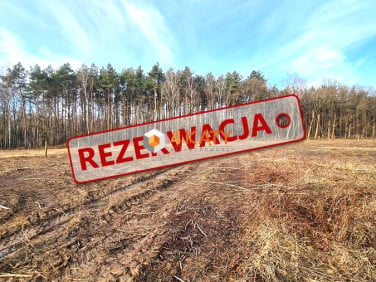 Działka Zielona Góra