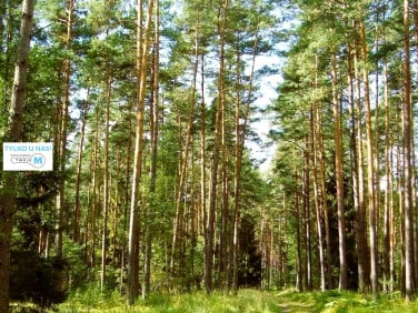 Działka Chmielnik