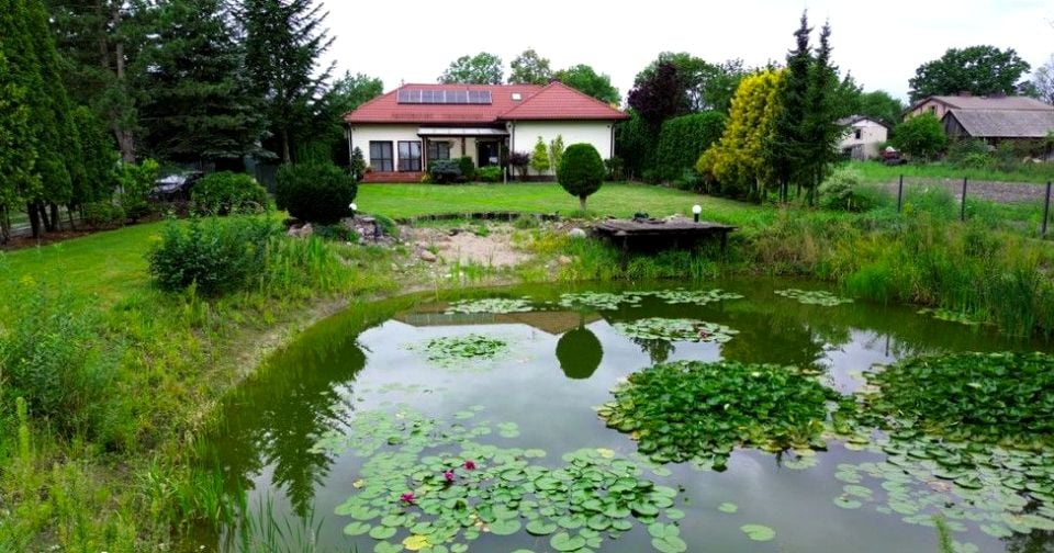 Dom Orzeszyn