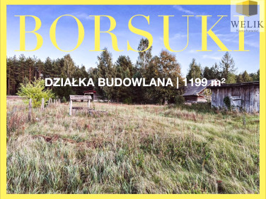 Działka Borsuki