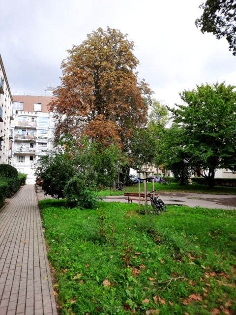 Mieszkanie Warszawa