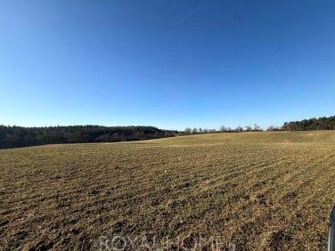 Działka budowlana Buk