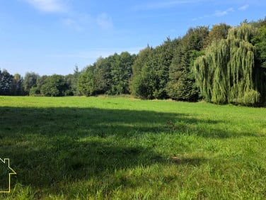 Działka budowlana Wodzisław Śląski sprzedam
