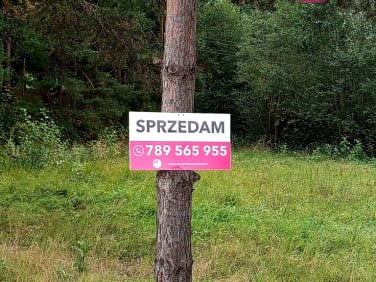 Działka inwestycyjna Łużna