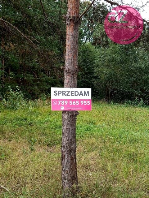 Działka inwestycyjna Łużna