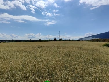 Działka Kruszów