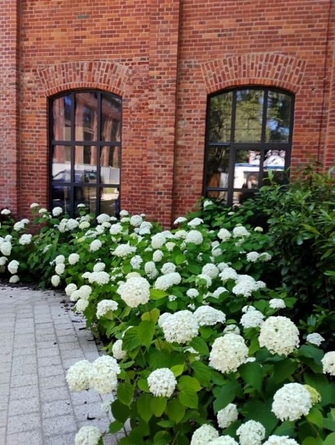 Mieszkanie Łódź
