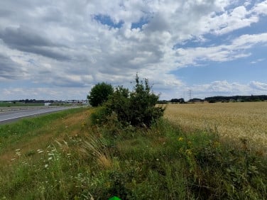 Działka Kruszów