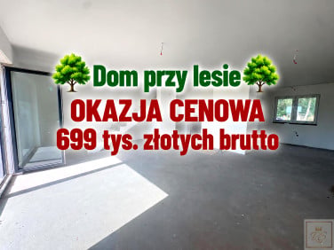 Dom Kopanina