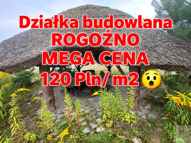 Działka Cieśle