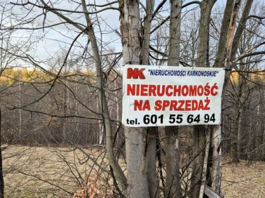 Działka budowlana Piechowice