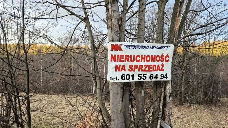 Działka budowlana Piechowice