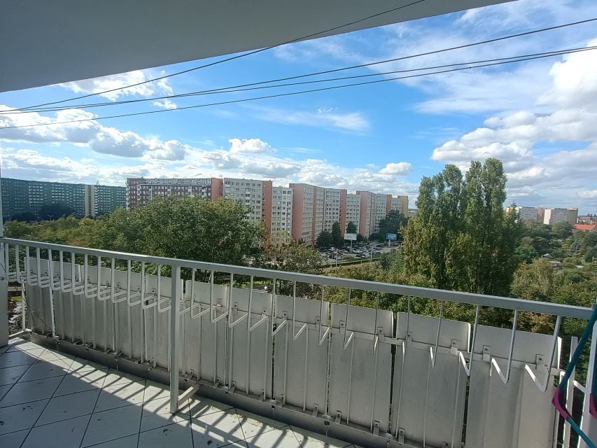 Zdjęcie 3