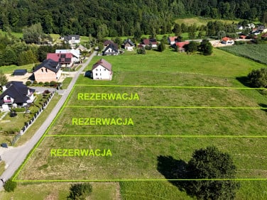 Działka przy lesie
