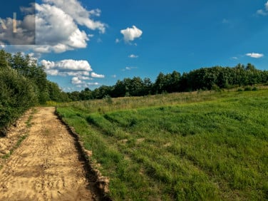 Działka Rzeszów