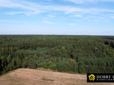 Działka siedliskowa Chraboły sprzedam