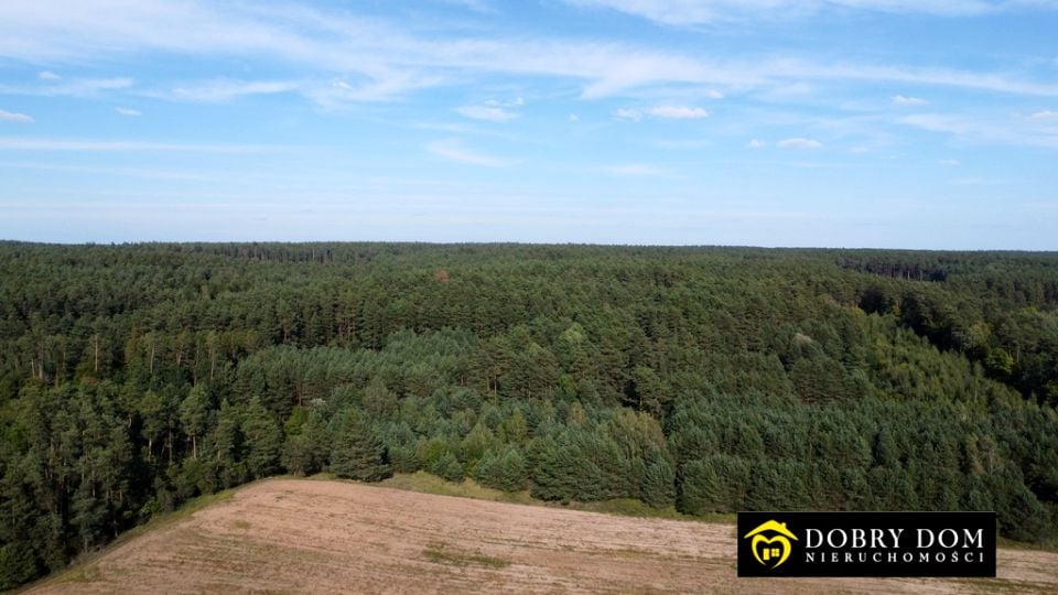 Działka siedliskowa Chraboły