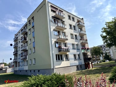 Mieszkanie Września