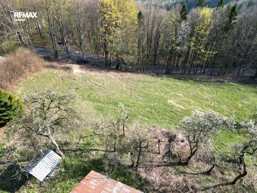 Zdjęcie 2