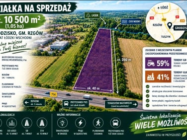 Działka inna Grodzisko