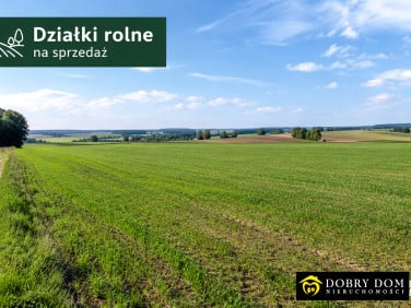 Działka rolna Odnoga-Kużmy