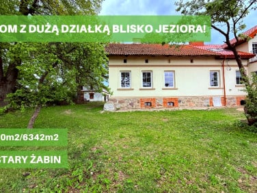 Dom Żabin