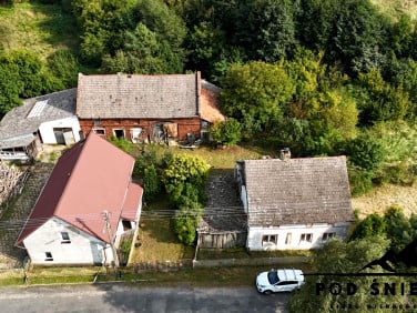 Dom Lisiec