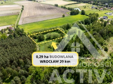 Działka Dziuplina