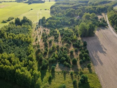 Działka Będźmierowice