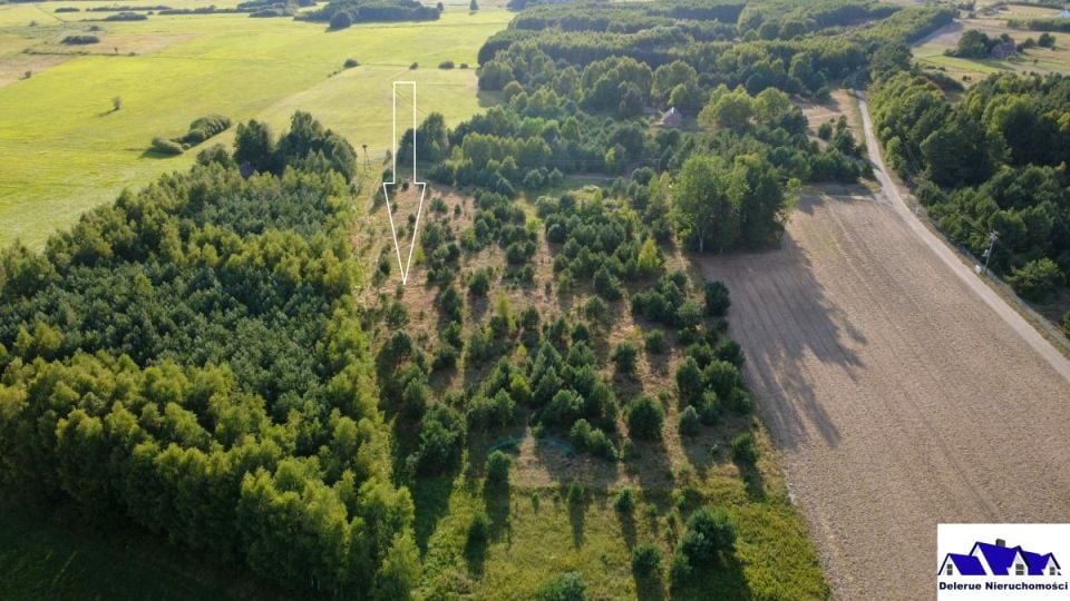 Działka Będźmierowice