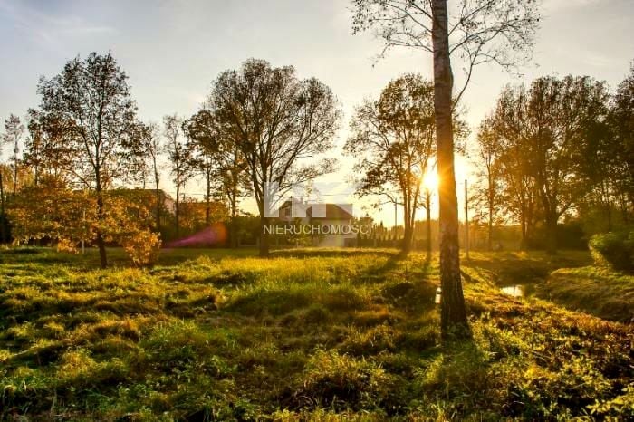 Działka Sulików