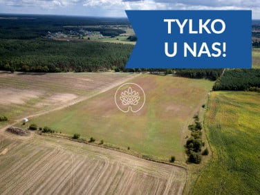 Działka rolna Dąbrówka Nowa