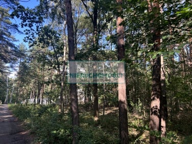 Działka Sękocin-Las