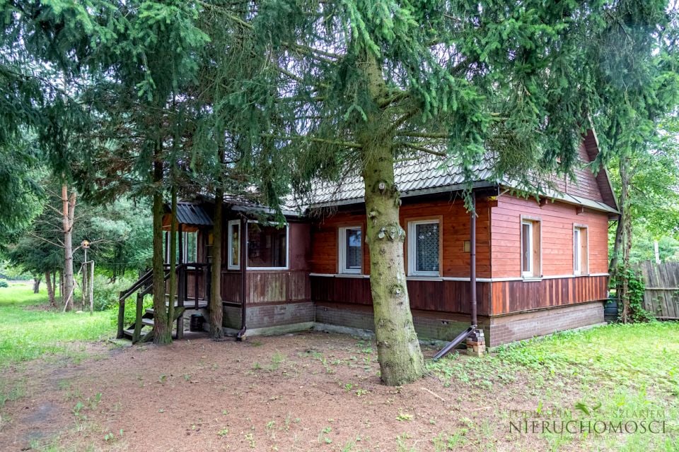 Dom Białowieża