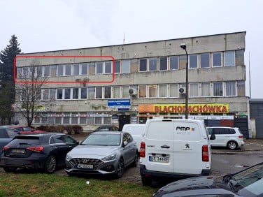 Lokal Elbląg
