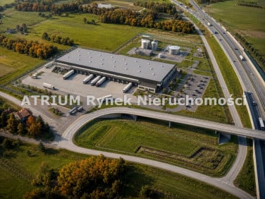 Działka inwestycyjna Piotrków Trybunalski