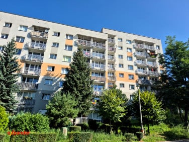 Mieszkanie Sosnowiec