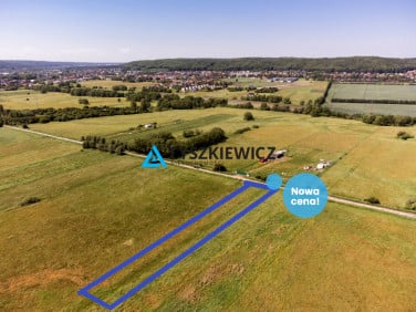 Działka Reda