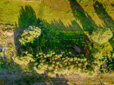 Działka Cyganka