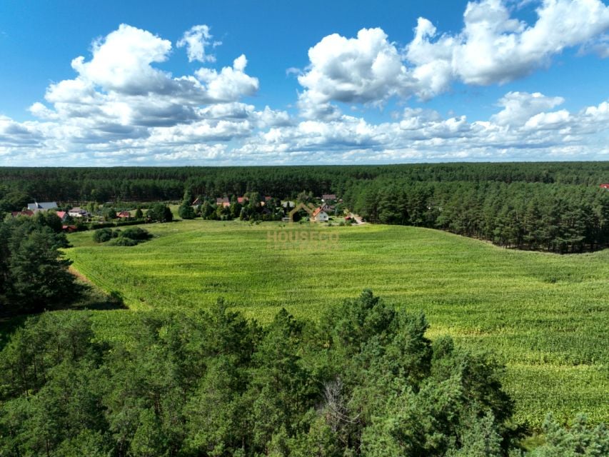 Zdjęcie 2