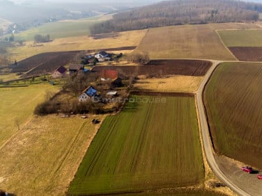 Działka Suszyna