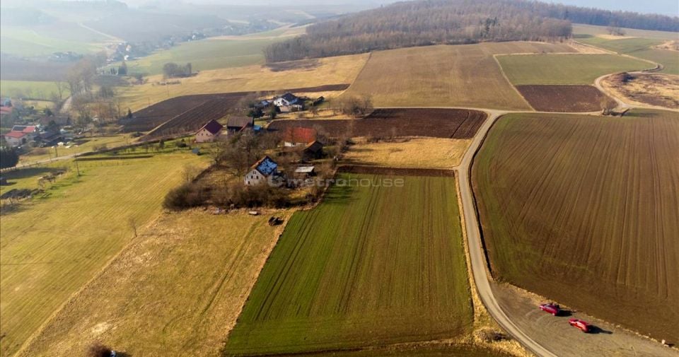Działka Suszyna